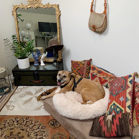 Meet your Posher, Jena Lou - Picture 5 of 11